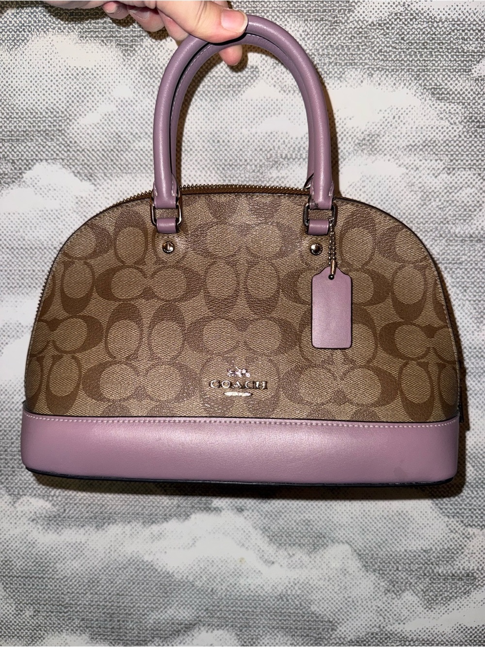 COACH Signature Dome Satchel in Purple and Brown